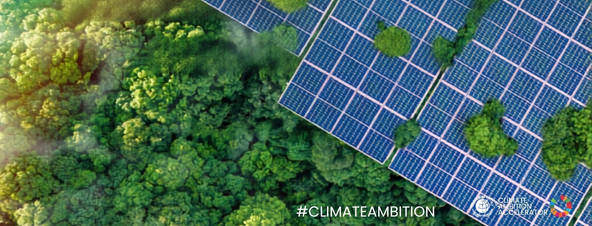 Día Mundial del Medio Ambiente: compromiso, acción y colaboración