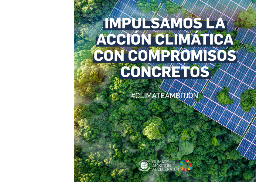 Día Mundial del Medio Ambiente: compromiso, acción y colaboración
