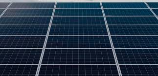 Reduciendo la huella de carbono y ampliando nuestro compromiso con la sostenibilidad