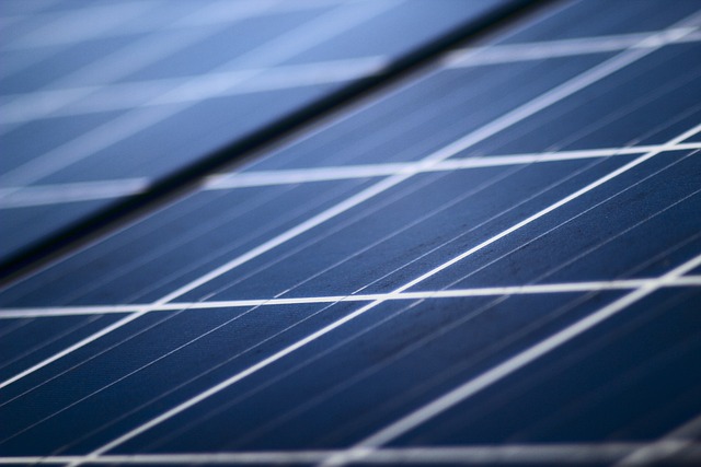 Reduciendo la huella de carbono y ampliando nuestro compromiso con la sostenibilidad
